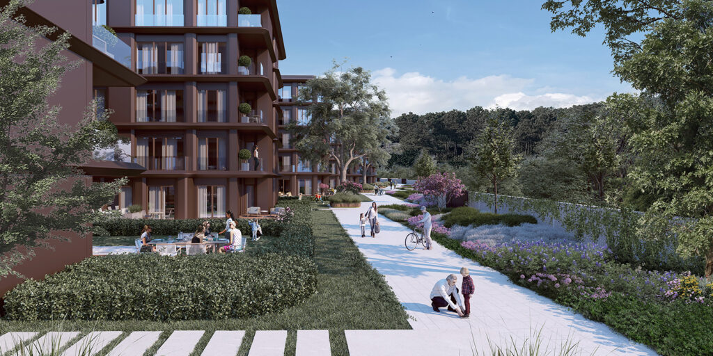 Project Image 3