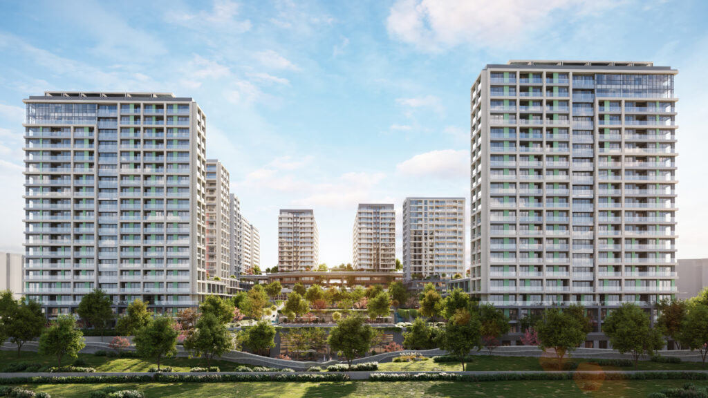 Project Main Image