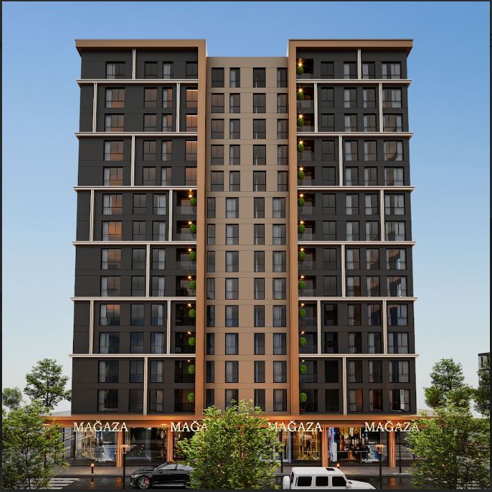 Project Image 3