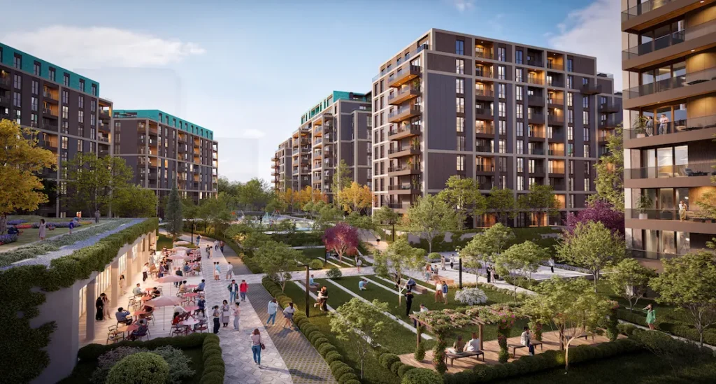 Project Image 2