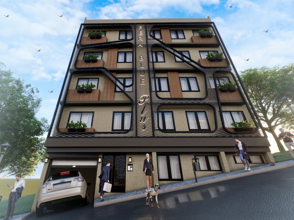 Project Image 2