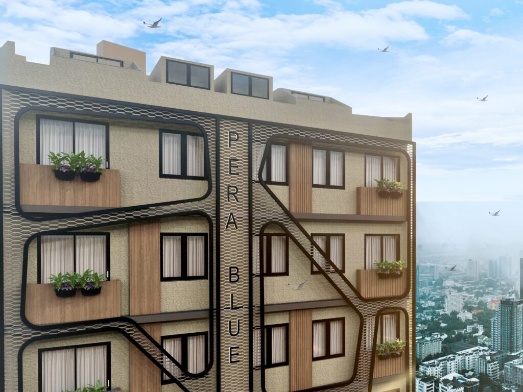 Project Image 3