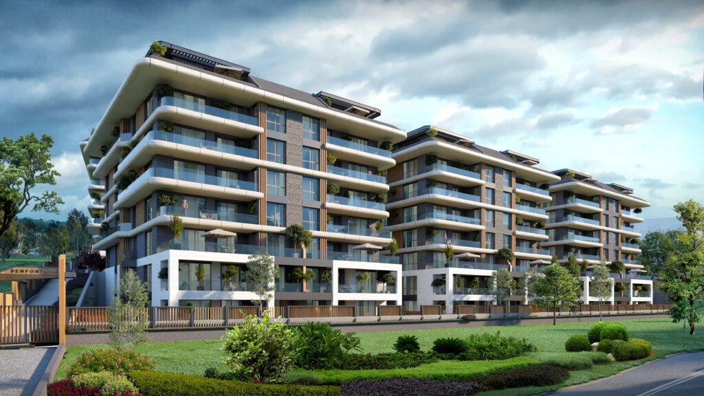 Project Image 2