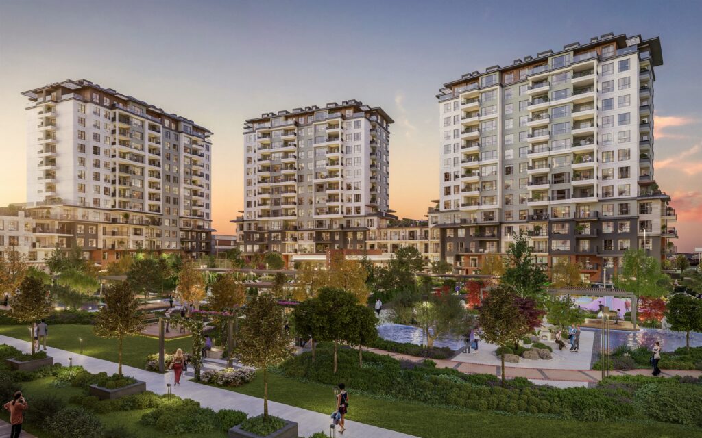 Project Main Image