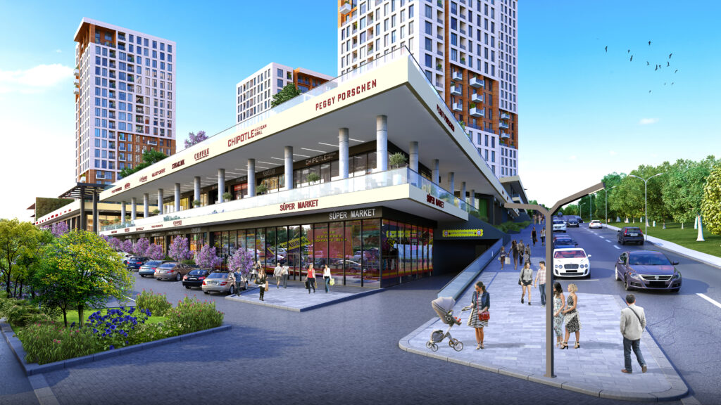 Project Image 3