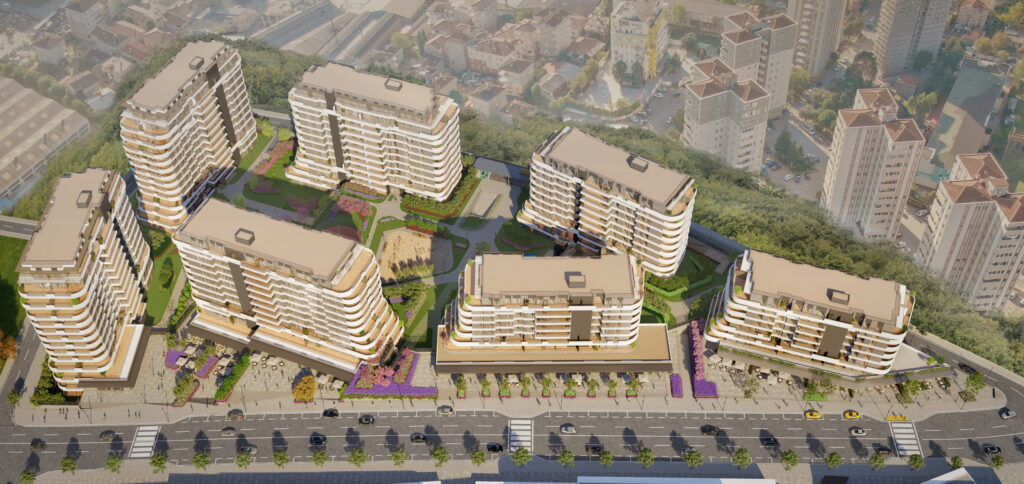 Project Image 3