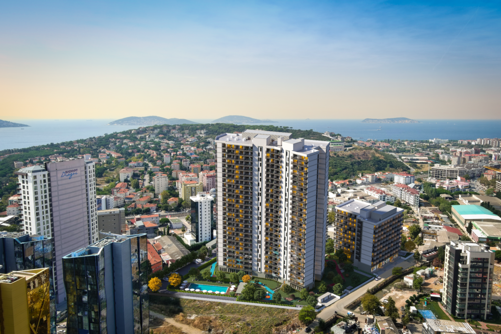 Project Main Image