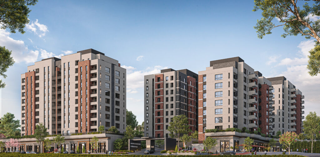 Project Main Image