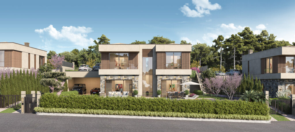 Project Image 2