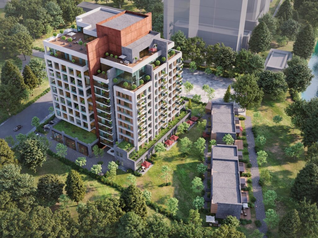 Project Main Image
