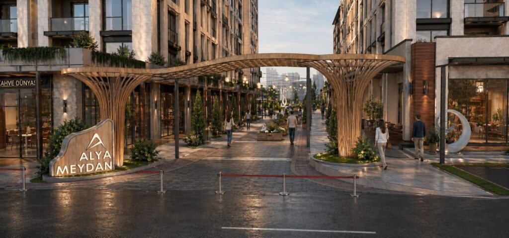 Project Image 3