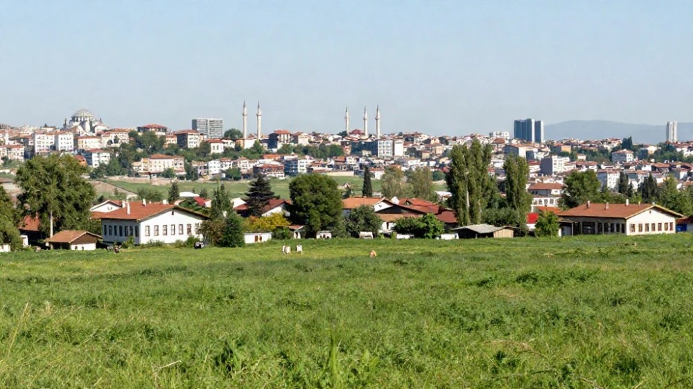 buying agricultural land in Istanbul Turkey