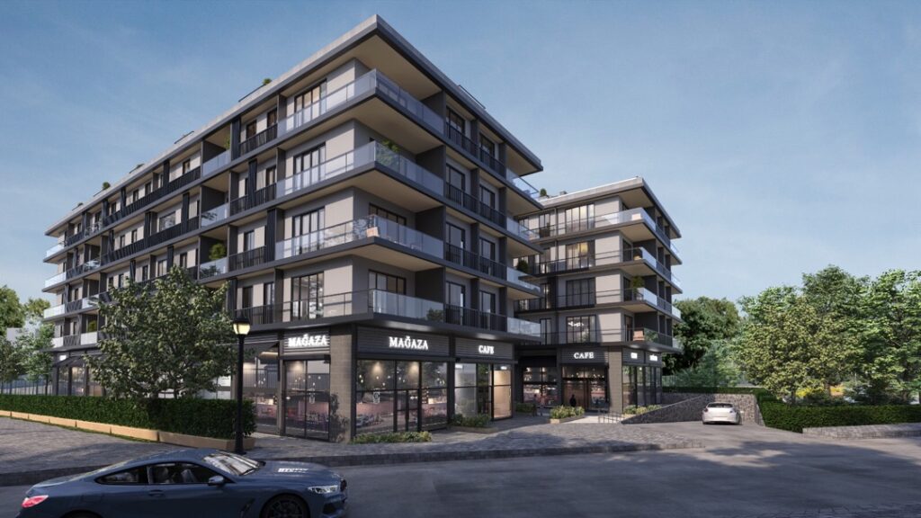 Project Image 3