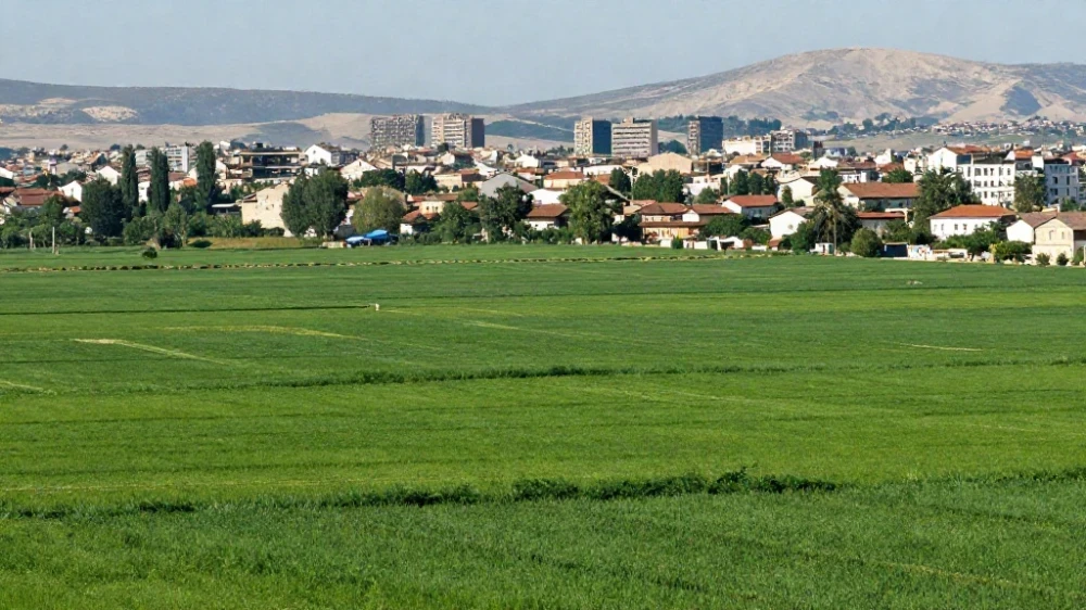 الفرق بين الطابو الاحمر والازرق